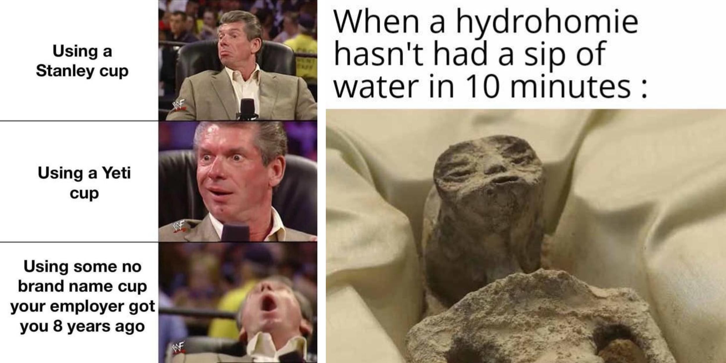 15 memes para recordarles a todos que se mantengan hidratados