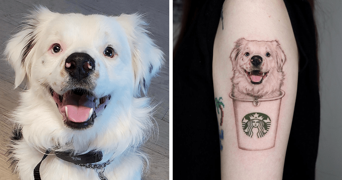 Magia de tatuajes de mascotas: 40 creaciones realistas de Yeono