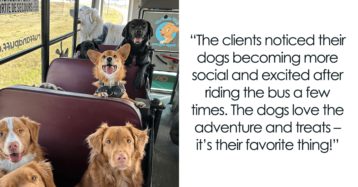 Un chico convierte un autobús escolar para llevar perros a sus aventuras diarias