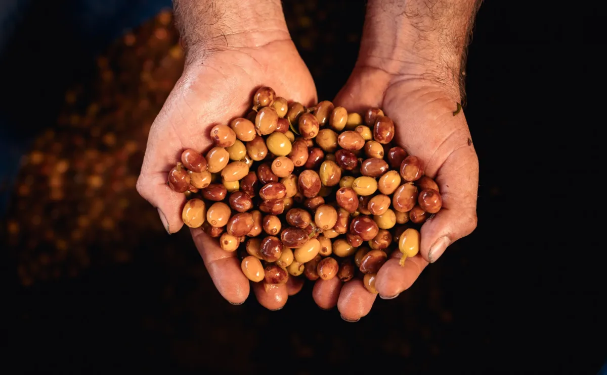 Ayudando a los pequeños productores a cerrar la brecha en el Huila: Primera parte