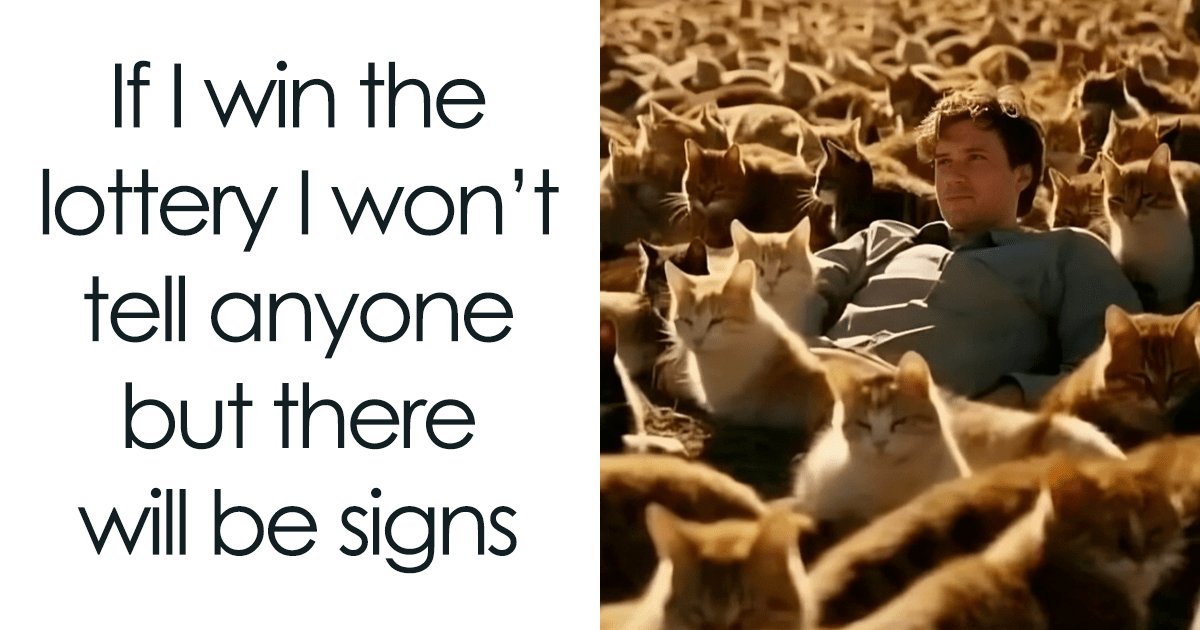 80 memes lindos y divertidos que tal vez te hagan querer tener un gato