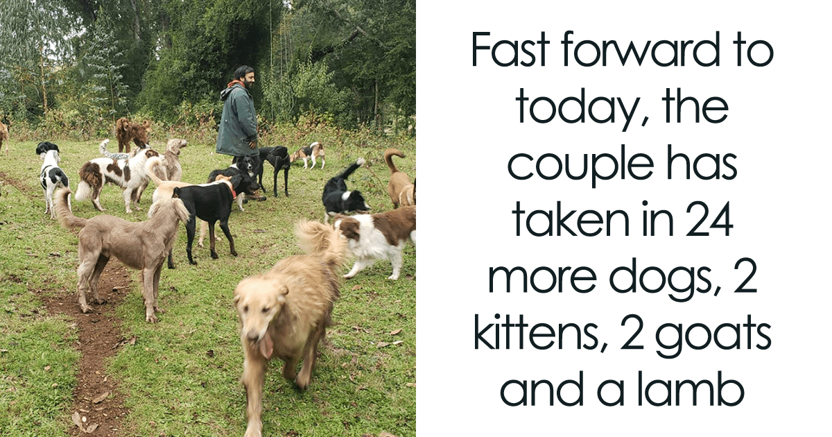 Mudarse con 31 mascotas: una historia de éxito viral sobre cómo encontrar un nuevo hogar con la ayuda de Internet