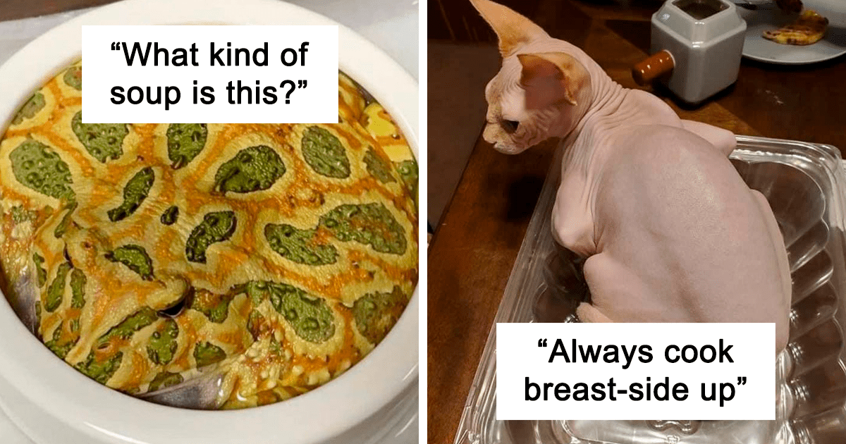 50 fotos divertidas de animales que tienen un extraño parecido con los alimentos