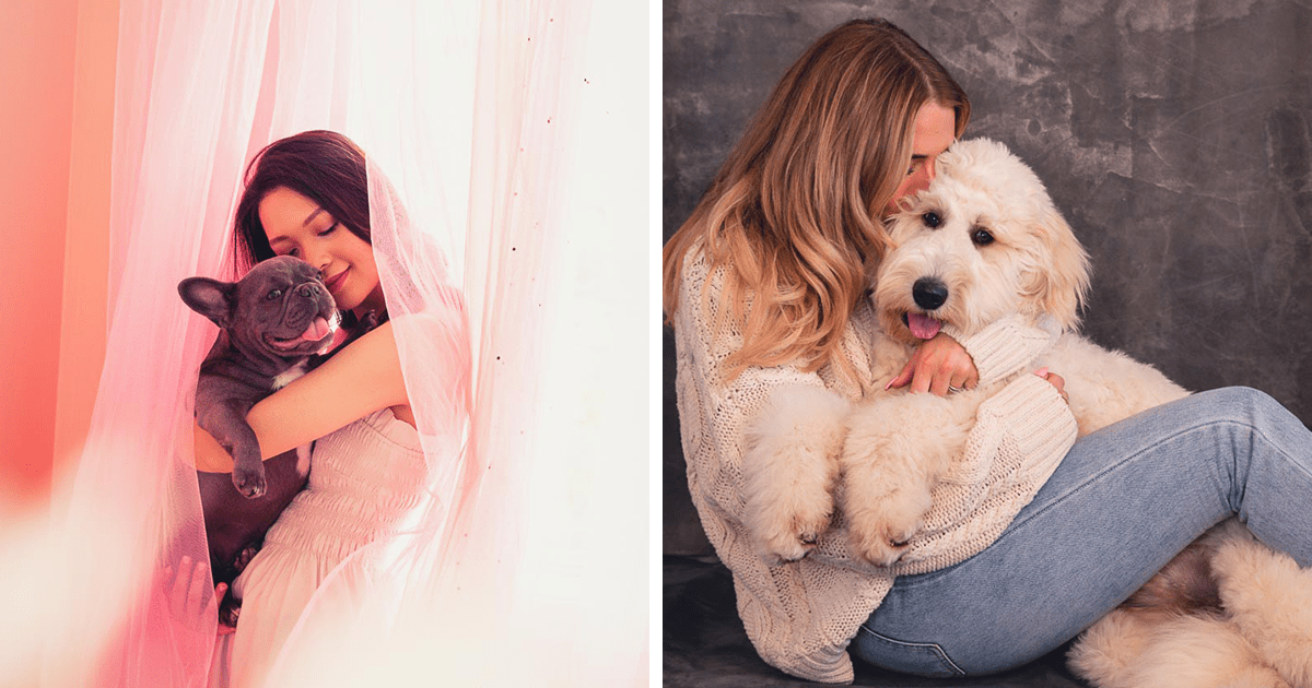 Diez tiernos momentos en las conexiones entre perros y humanos, capturados por “Yellow Lab Dog Photography”