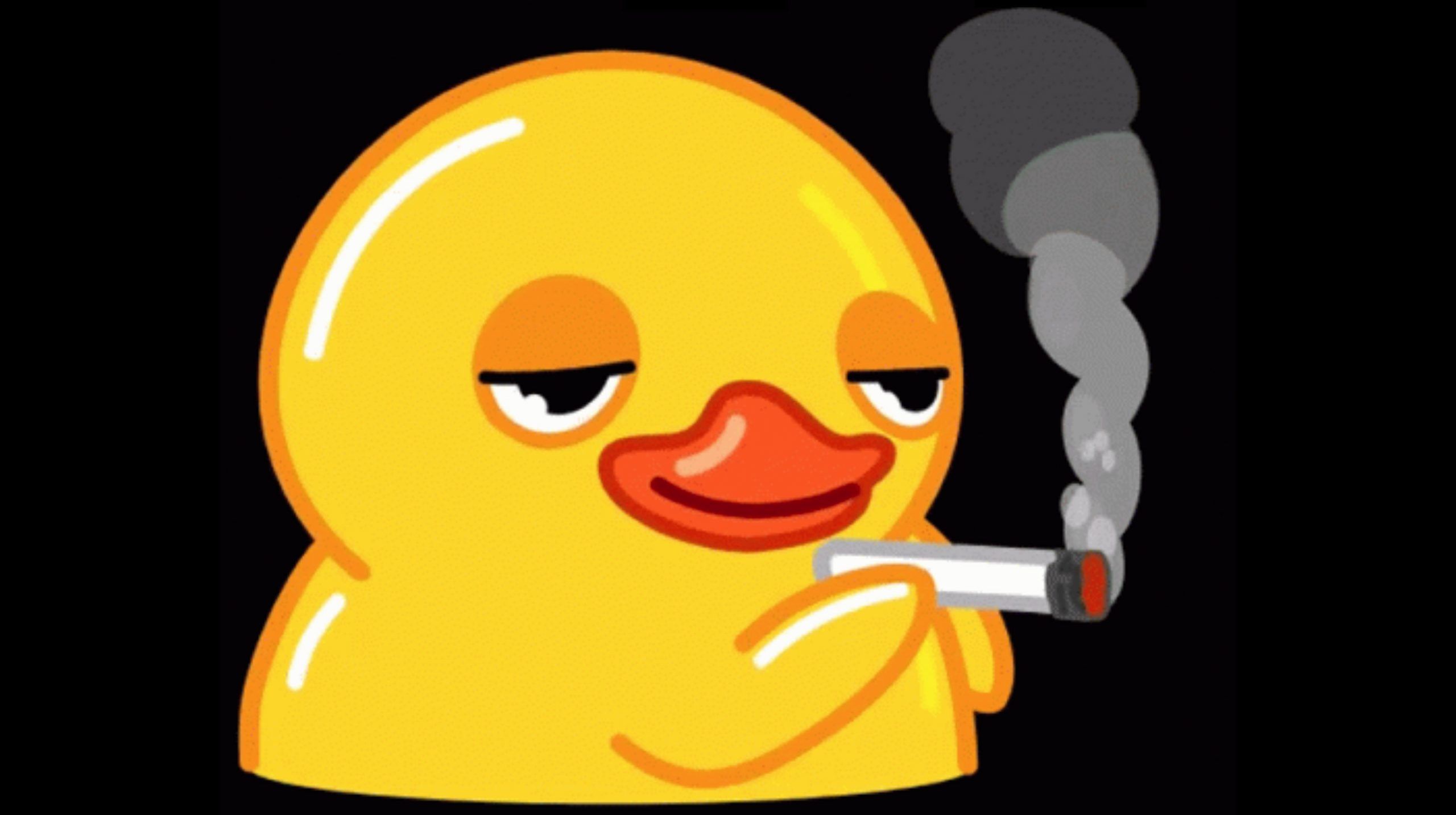 Pato Fumando GIF
