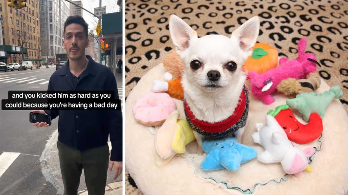 Google y un ex empleado de TikTok filmaron supuestamente pateando a un perro, se vuelve viral mientras los detectives de Internet lo rastrean