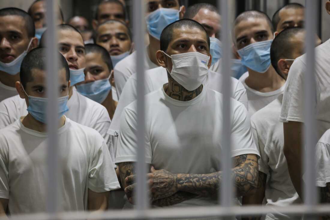 Esta foto muestra presuntos miembros de pandillas que se unen en una celda del Centro de Confinamiento del Terrorismo (CECOT) en Tecoluca, El Salvador. Los hombres usan camisetas blancas y máscaras de estilo médico, y su cabello se corta cerca del cuero cabelludo.
