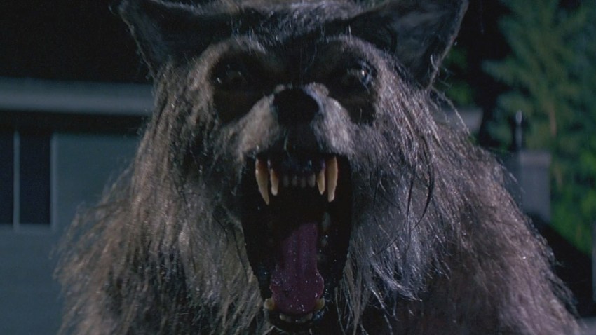 Bad Moon (1996)