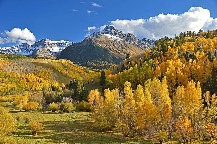 Paisaje de montaña con árboles de otoño y un cielo azul claro, que ilustra un telón de fondo de vacaciones sereno.