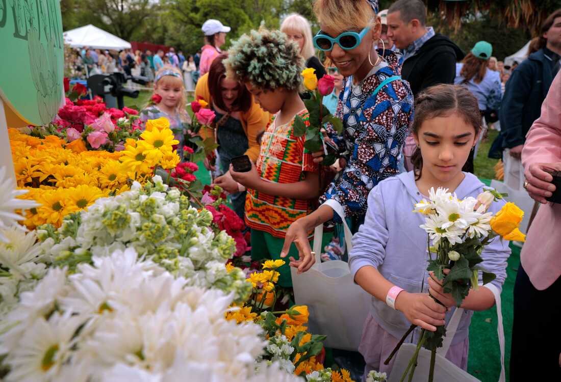 Washington, DC - 21 de abril: Los invitados reunieron ramos de flores frescas durante el rollo de huevo de Pascua de la Casa Blanca en el South Lawn de la Casa Blanca el 21 de abril de 2025 en Washington, DC. La Casa Blanca espera que miles de niños y adultos participen en la tradición anual de los huevos de colores ondulados en el césped de la Casa Blanca, que fue iniciado por el presidente Rutherford B. Hayes en 1878. (Foto de Chip Somodevilla/Getty Images)