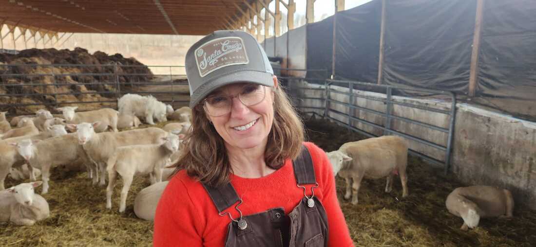 Kristin Kimball ha crecido su rebaño en la última década de una docena de ovejas a más de 250 animales. Durante la temporada de parto, su día comienza antes del amanecer y termina mucho después del anochecer, pero lo describe como un momento alegre.