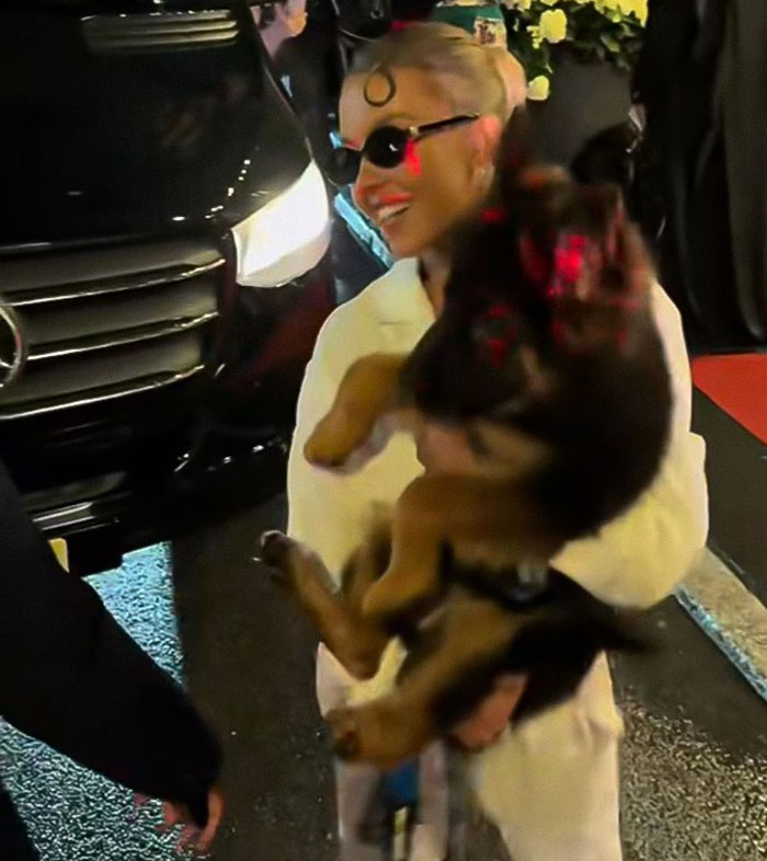 Sydney Sweeney sosteniendo a un cachorro en la alfombra roja de Met Gala en medio de controversia sobre el tratamiento con animales.