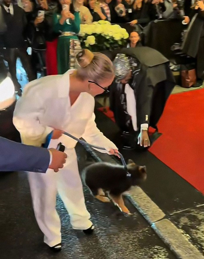 Sydney Sweeney sosteniendo a un cachorro en la alfombra roja de Met Gala, con multitud y fotógrafos en el fondo.