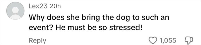 Comentario expresando preocupación por Sydney Sweeney desfilando a un cachorro estresado en la alfombra roja de Met Gala.