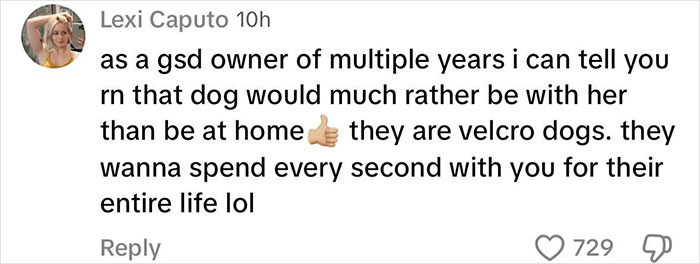 Comentario de Lexi Caputo defendiendo a Sydney Sweeney, diciendo que su perro prefiere estar con ella y son perros de velcro.