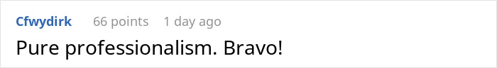 Captura de pantalla de un comentario en línea alabando la profesionalidad en una discusión sobre una karen que abalienta mal a un ingeniero.