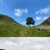 Dos hombres ahora son condenados por cargos relacionados con cortar un árbol histórico en Inglaterra. Una combinación de imágenes muestra, la parte superior, el árbol de gapas de sycamore a lo largo del muro de Hadrian cerca de Hexham, el norte de Inglaterra, el 4 de junio de 2023, e inferior, el árbol Gap de Sycamore Talled, el 28 de septiembre de 2023. 