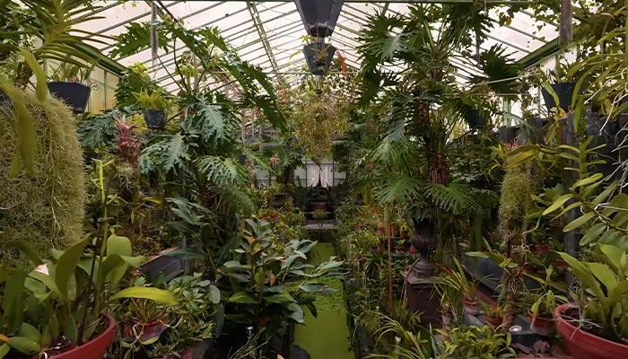 Invernadero lleno de diversas plantas dentro de la casa más cara del mundo con un notable precio de 10 cifras.