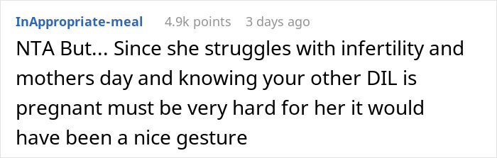Comente sobre Reddit discutiendo Dog Mom Dil exigiendo el mismo tratamiento del Día de la Madre después de ser omitido por MIL.