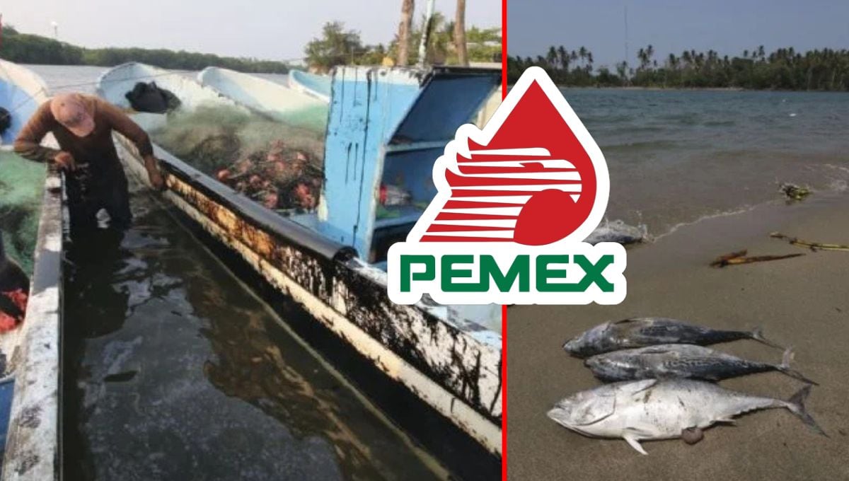 Un derrame de hidrocarburo en Paraíso, Tabasco, ha afectado la actividad pesquera y no ha sido resuelto por Pemex tras casi 15 días.