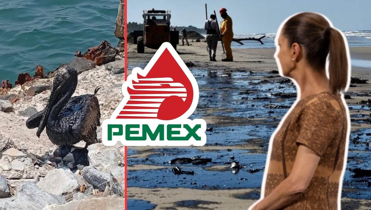 La presidenta Claudia Sheinbaum confirmó que el derrame de hidrocarburo en las costas de Tabasco, originado en un ducto antiguo de Pemex, fue de aproximadamente 300 barriles.