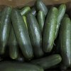 Esta foto sin fecha proporcionada por la Administración de Drogas y Alimentos de los Estados Unidos muestra pepinos retirados para Salmonella. Los pepinos contaminados con bacterias de Salmonella pueden haber enfermado y hospitalizado docenas de personas en más de 20 estados, dijeron los funcionarios de salud de los Estados Unidos el miércoles