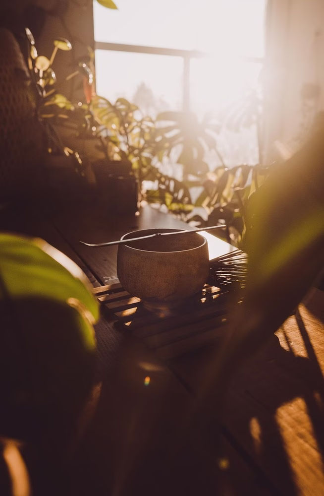 Un tazón de matcha está relacionado con la luz del sol y rodeado de exuberantes plantas verdes.