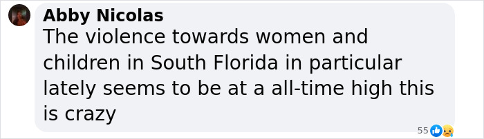 Comentario de Abby Nicolas discutiendo la creciente violencia hacia mujeres y niños en el sur de Florida que se muestra en una publicación en las redes sociales.