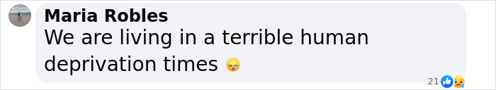 Captura de pantalla de un comentario de Facebook de Maria Robles sobre vivir en terribles tiempos de privación humana.