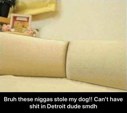 Ellos robaron mi dux Bruh estos n ----- robó a mi perro !! No puedo tener S --- en Detroit Dude Smdh