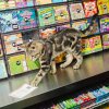 Alex, una mujer bodega que juega con un boleto de lotería en Grand Organic en Brooklyn, Nueva York, el 31 de marzo de 2025.