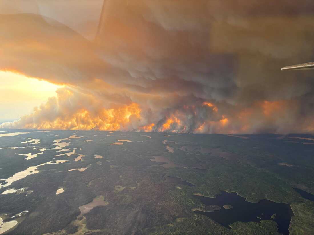 Una ondulante nube de humo se eleva de los incendios forestales.