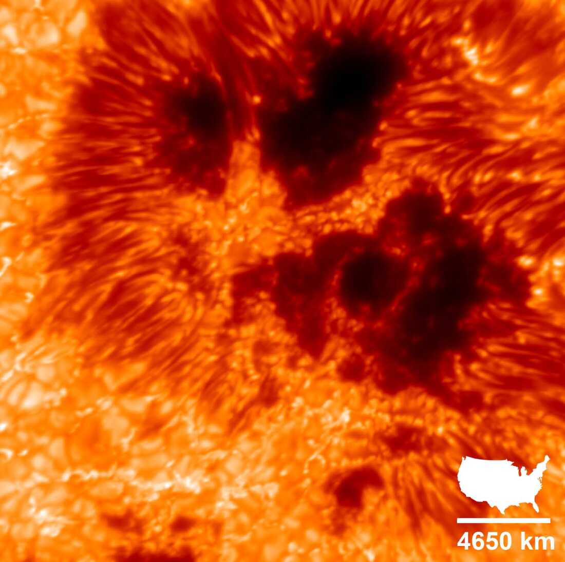 Una imagen capturada por el telescopio solar Daniel K. Inouye en Hawai muestra manchas solares en la superficie de la estrella.