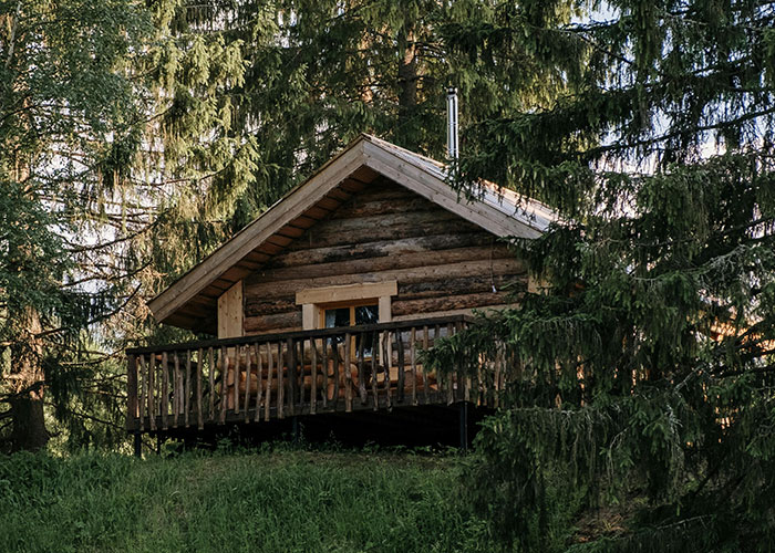 Cabina rústica de madera rodeada de altos pinos en un bosque, que representa la cabaña familiar y el conflicto de hermanastas.