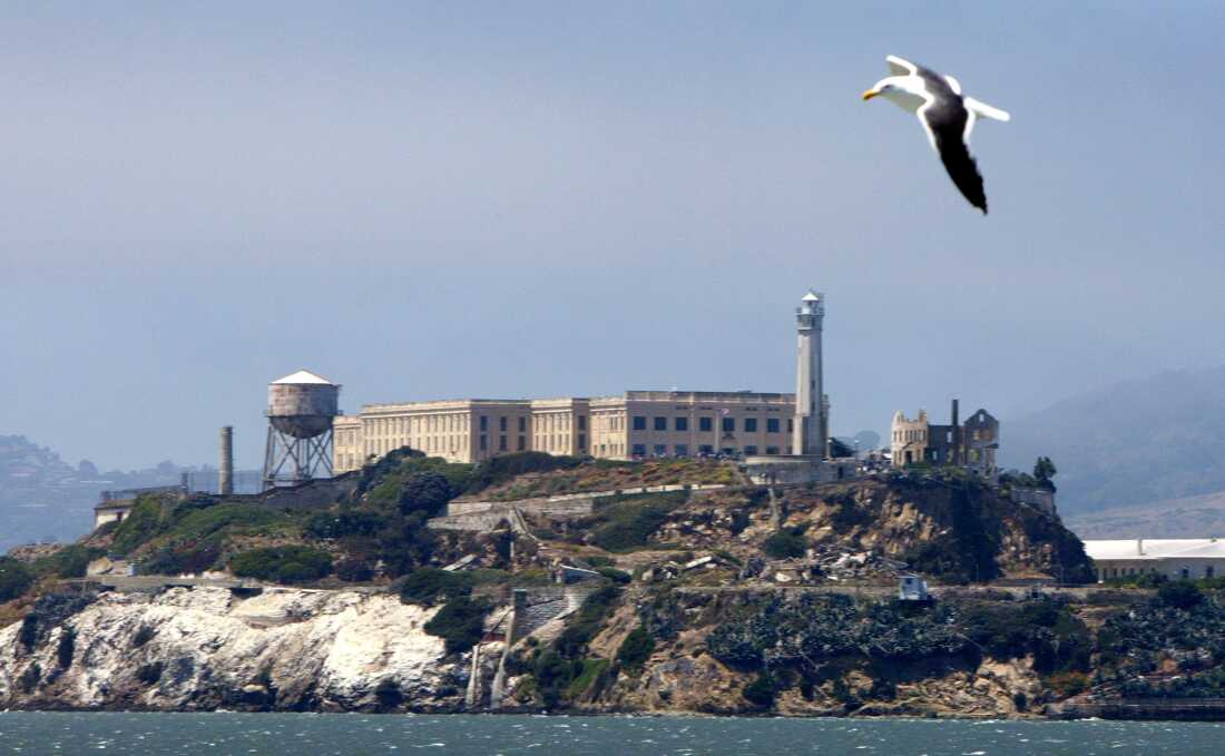 Una gaviota vuela sobre la penitenciaría federal de Alcatraz en la isla de Alcatraz el 2 de julio de 2003 en la Bahía de San Francisco, California.