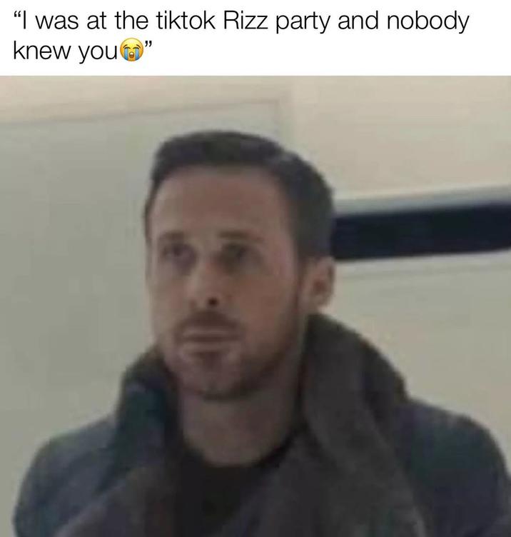 I was at the TikTok Rizz Party and nobody knew you
