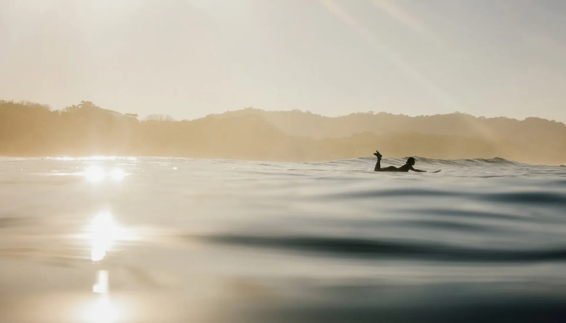 Surf