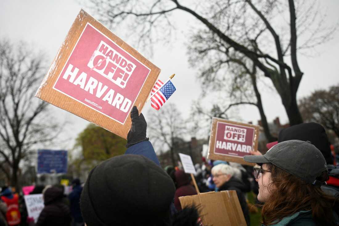 Los manifestantes se unen en Cambridge Common en una protesta organizada por la ciudad de Cambridge pidiendo al liderazgo de Harvard que resistiera la interferencia en la universidad por parte del gobierno federal, en Cambridge, Massachusetts, el 12 de abril.