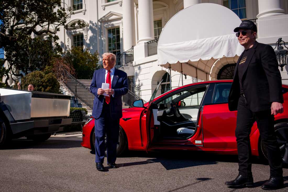 El presidente Trump y Musk inspeccionan los vehículos Tesla frente a la Casa Blanca el 11 de marzo de 2025.