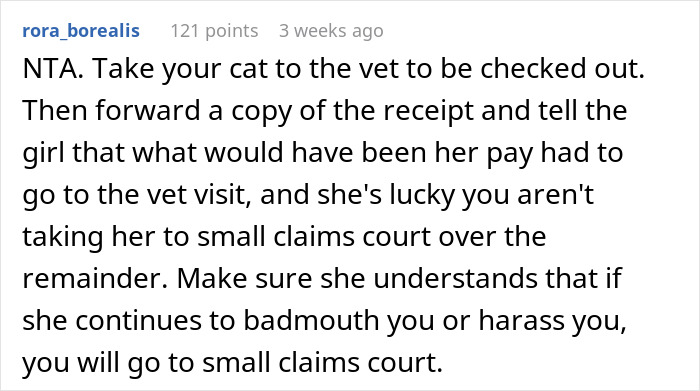 Un comentario de Reddit que aconseja llevar al gato al veterinario y discutir temas de pago con la camiseta de gato.
