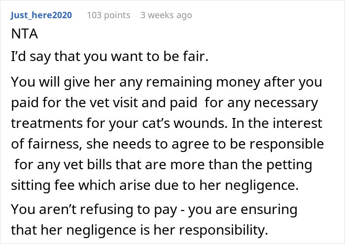Comentario de Reddit explicando la equidad en las disputas de pago con la camiseta Cat, centrándose en la negligencia y la responsabilidad de las facturas de veterinario.