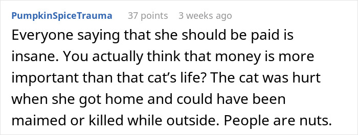 Captura de pantalla de un comentario de Reddit debatiendo el pago y la responsabilidad en una discusión de disputas para la hermana gato.