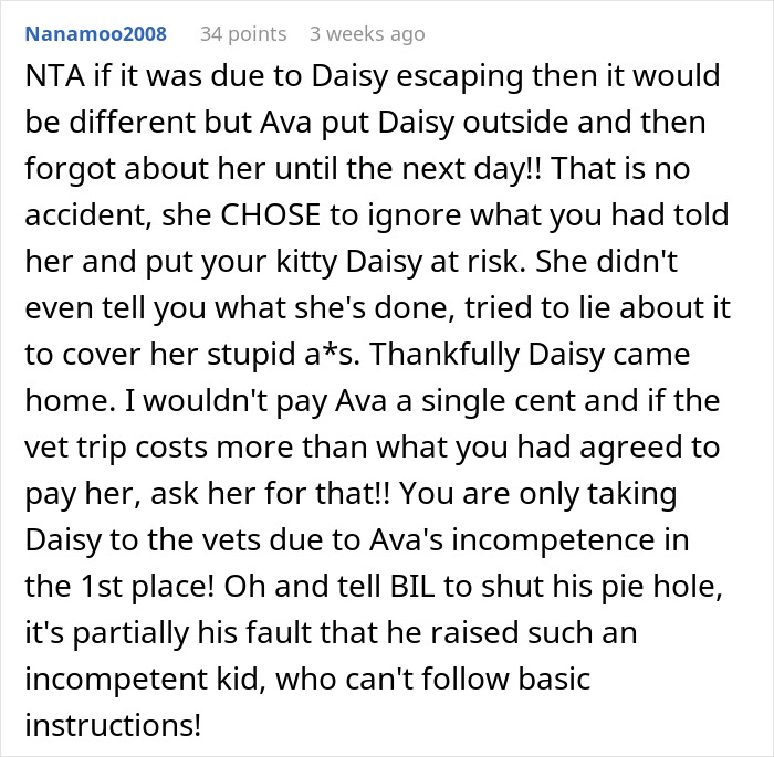 Comentario del usuario discutiendo la negativa a pagar a Cat-Witter debido a negligencia arriesgando la seguridad del gato en un desacuerdo.