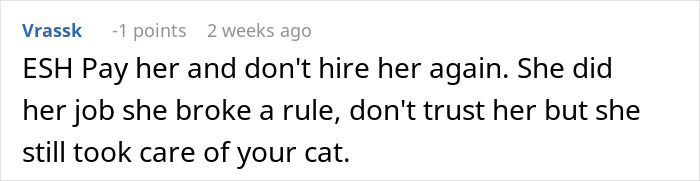 El comentarista discutiendo la negativa a pagar a la camiseta a pesar de la ruptura de las reglas, enfatizando la atención brindada al gato.