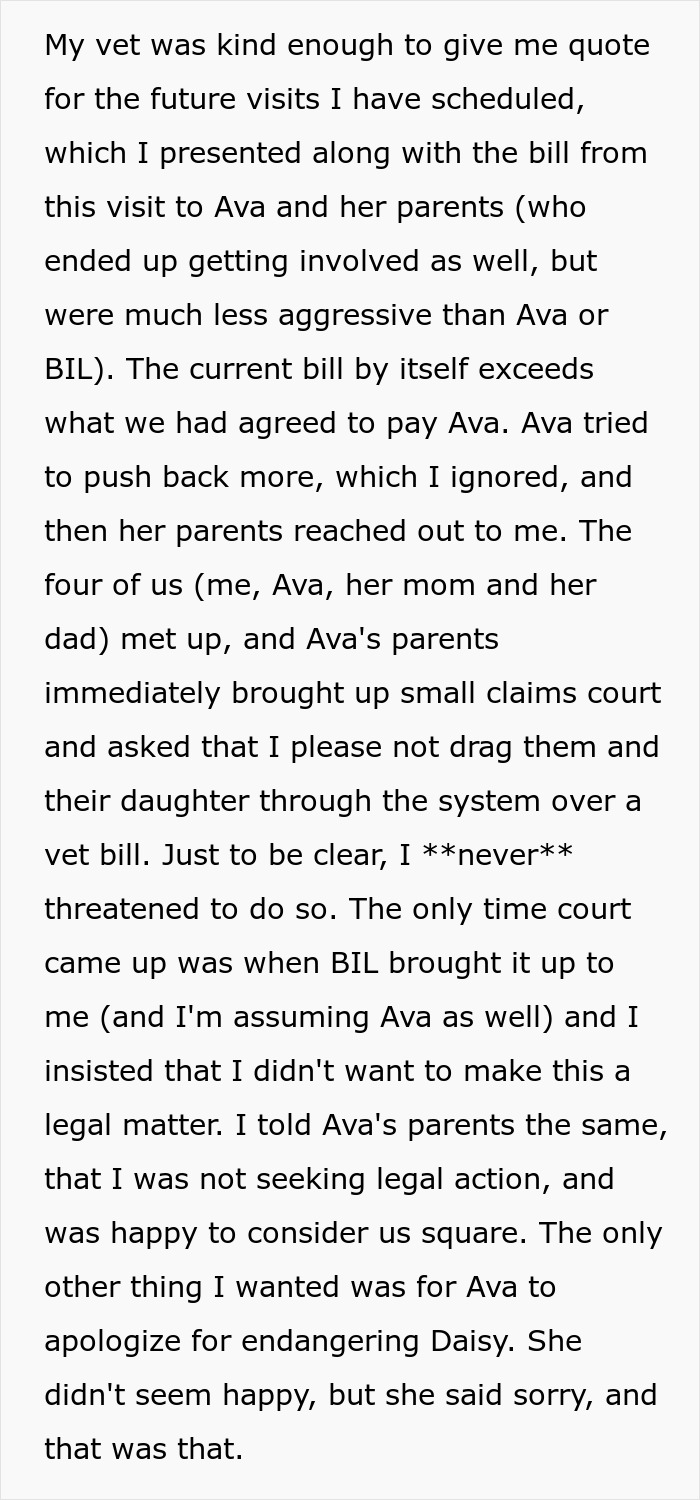 Extracto de texto de una disputa sobre un proyecto de ley veterinario que involucra a una camiseta y discusiones con los padres de Ava.