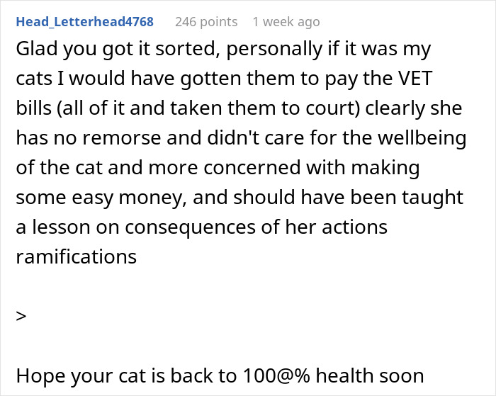 Comente discutiendo la negativa a pagar a una mujer gato, enfatizando el cuidado del bienestar del gato y las consecuencias de las acciones.
