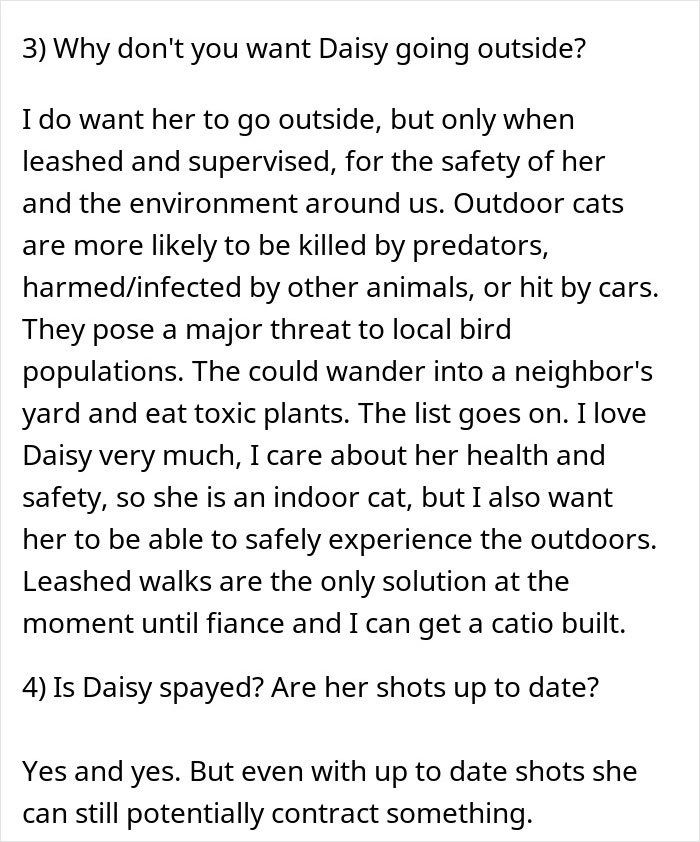 Cat Sitter Refusal debate con preocupaciones sobre la seguridad de los gatos, los riesgos al aire libre y las caminatas de correa supervisadas para los gatos interiores
