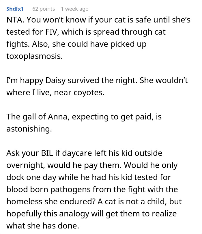 Comentario discutiendo los riesgos para la salud de los gatos y la negativa a pagar a una camiseta de gato después de la negligencia durante la noche en una disputa para el gato.
