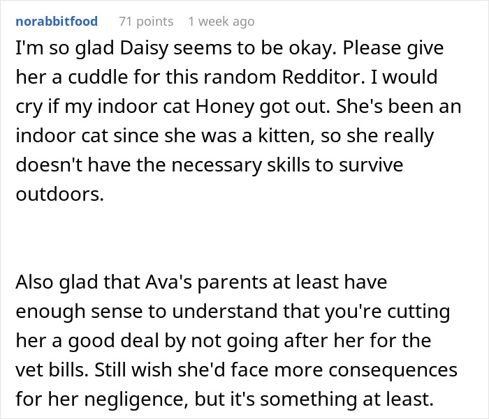 El usuario de Reddit discutiendo las preocupaciones sobre la seguridad de un gato interior y reflexionando sobre una disputa de pago de la altura gat.