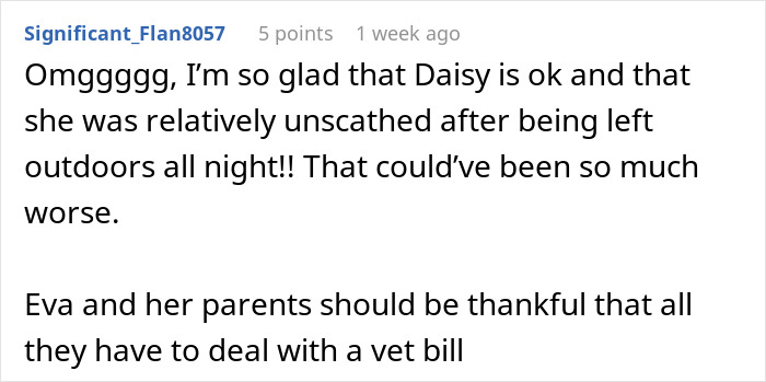 Usuario del foro que expresa alivio de que un gato llamado Daisy sobrevivió una noche al aire libre en una disputa de pago de la hermana gato.